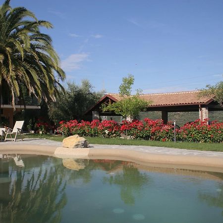 Agriturismo Ada Musso Ss Diano Borello Exterior photo