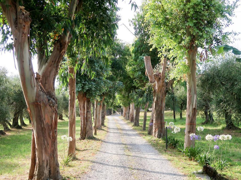 Agriturismo Ada Musso Ss Diano Borello Exterior photo